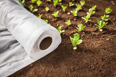 Укрывной материал 17г/м2, 1600мм, намотка 1000 п.м.